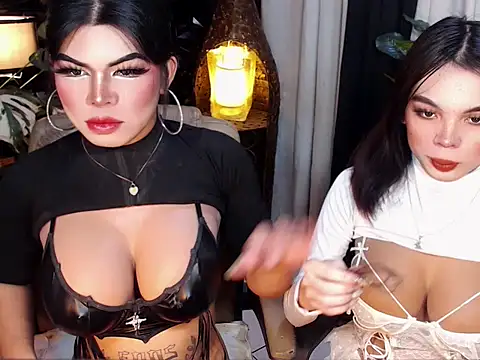 TWINKTRANSSHANEL online show from November 2025 04:39:01 AM