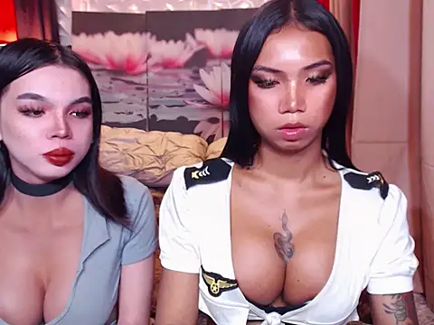 TWINKTRANSSHANEL online show from November 2025 04:59:01 AM