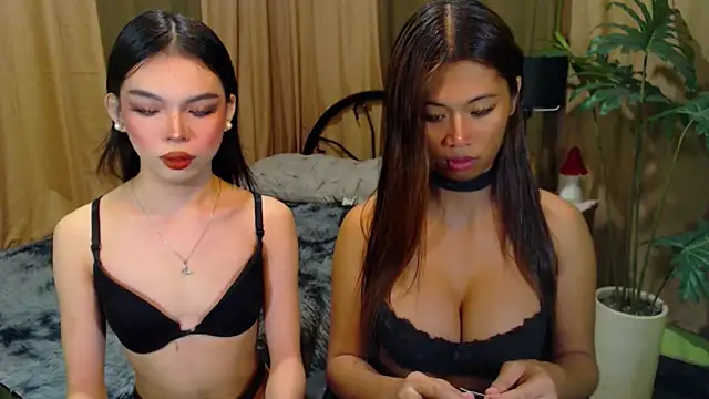 TWINKTRANSSHANEL online show from October 2025 04:36:01 AM