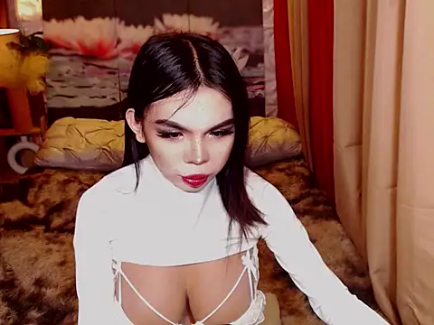 TWINKTRANSSHANEL online show from November 2025 04:38:02 AM