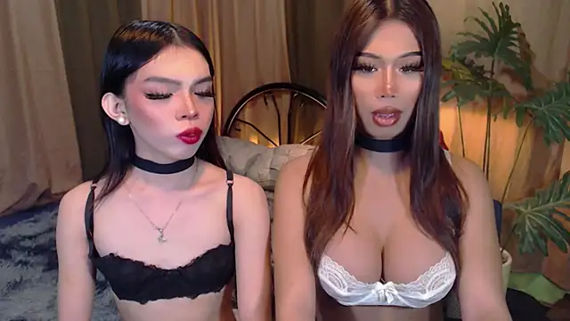TWINKTRANSSHANEL online show from October 2025 04:24:02 AM