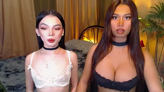 TWINKTRANSSHANEL online show from October 2025 04:25:01 AM