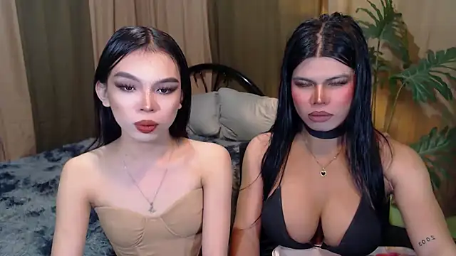 TWINKTRANSSHANEL online show from October 2025 09:34:02 AM