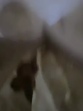 Moro-89 online show from April 2026 06:20:02 AM