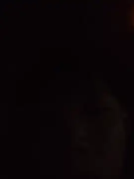 aooya online show from November 2025 01:44:02 PM