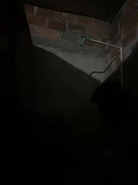 Snapshot of lady_and_charly chatting on February 2026 11:24:01 PM lady and charly online show from February 2026 11:24:01 PM