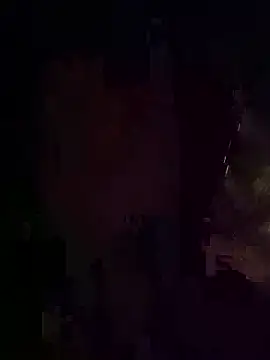 Snapshot of lady_and_charly chatting on December 2025 11:19:01 PM lady and charly online show from December 2025 11:19:01 PM