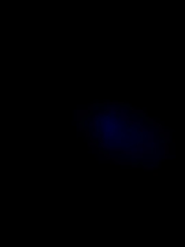 lady and charly online show from November 2025 07:40:02 PM