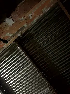 Snapshot of lady_and_charly chatting on January 2026 12:09:02 PM lady and charly online show from January 2026 12:09:02 PM