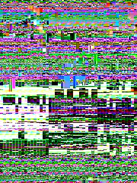 Rose monroee online show from November 2025 07:40:01 PM