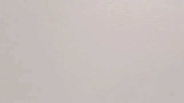 GeorginaFit online show from October 2025 12:03:01 PM