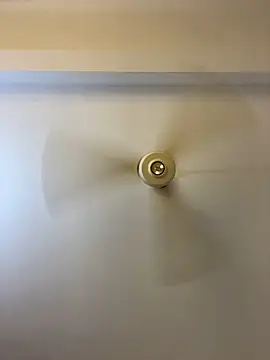 Nhefertary online show from March 2026 02:19:02 AM