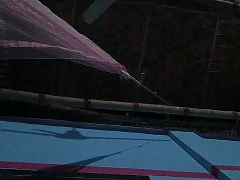 mfrboss1 online show from December 2025 09:48:02 PM