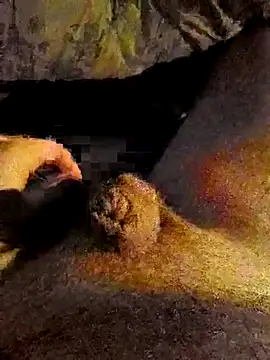 Snapshot of Patrice51230 chatting on November 2025 01:55:01 PM Patrice51230 online show from November 2025 01:55:01 PM