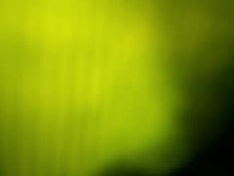 GingerLegend online show from April 2026 12:22:01 PM