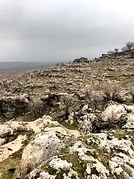 Snapshot of Sert_erkek21_ysm chatting on February 2026 10:03:02 AM Sert erkek21 ysm online show from February 2026 10:03:02 AM