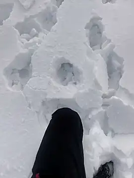 Snapshot of Sert_erkek21_ysm chatting on January 2026 01:15:02 PM Sert erkek21 ysm online show from January 2026 01:15:02 PM