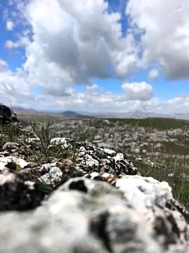 Sert erkek21 ysm online show from March 2026 09:22:01 AM