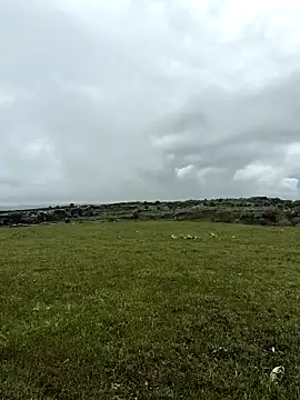 Sert erkek21 ysm online show from April 2026 01:13:02 PM