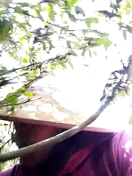 Snapshot of sumaybae chatting on November 2025 07:08:01 AM sumaybae online show from November 2025 07:08:01 AM