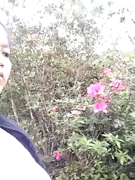 sumaybae online show from March 2026 05:47:01 AM