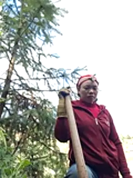 miomio-12 online show from November 2025 02:55:02 AM