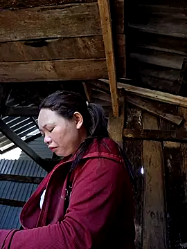 miomio-12 online show from April 2026 12:50:01 AM