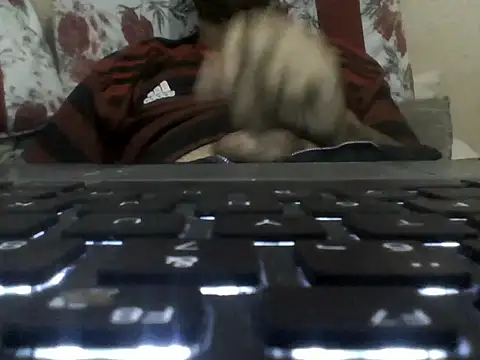 Snapshot of brunnosilva30 chatting on October 2025 01:04:02 AM brunnosilva30 online show from October 2025 01:04:02 AM