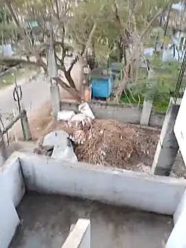 hemcrazy online show from February 2026 01:02:01 AM