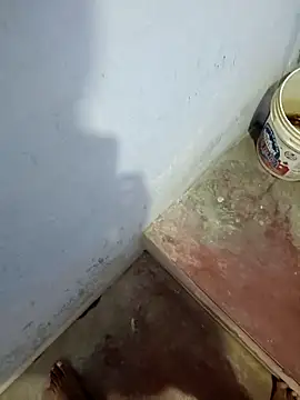 hemcrazy online show from February 2026 06:22:01 AM