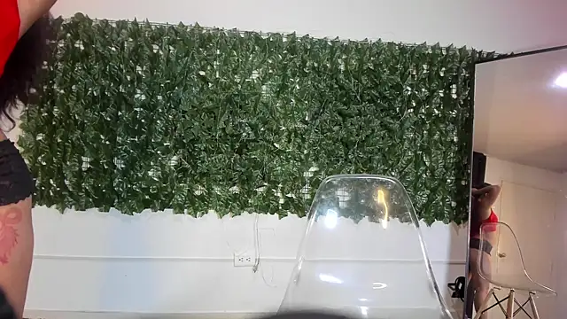 Amayavaldes online show from January 2026 12:53:01 PM