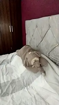 cieloking09 online show from February 2026 06:35:01 AM