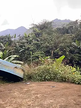 Pii x online show from November 2025 01:04:02 AM