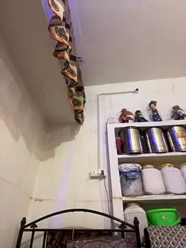 Snapshot of Sapnahot34 chatting on November 2025 03:33:02 AM Sapnahot34 online show from November 2025 03:33:02 AM