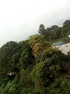 anshika sharma20 online show from October 2025 10:49:02 AM