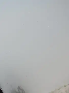  Bella Beth  online show from December 2025 12:55:02 AM