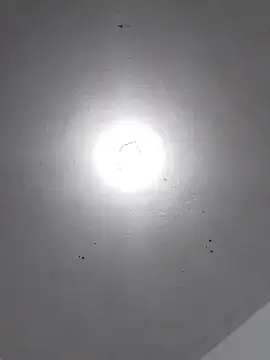  Bella Beth  online show from November 2025 02:12:04 AM