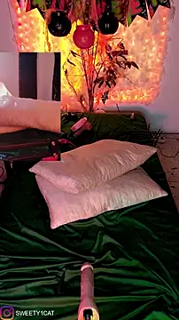 Snapshot of SweetyCatt1 chatting on October 2025 11:48:02 PM SweetyCatt1 online show from October 2025 11:48:02 PM