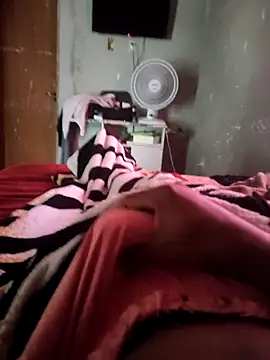 Snapshot of picadme chatting on October 2025 05:02:02 PM picadme online show from October 2025 05:02:02 PM