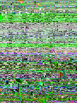 Snapshot of lain213 chatting on October 2025 05:19:01 AM lain213 online show from October 2025 05:19:01 AM