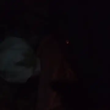 Aragis35 online show from December 2025 06:56:02 AM