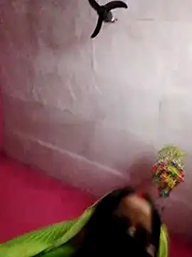 Snapshot of Cr_sonam chatting on October 2025 07:42:02 AM Cr sonam online show from October 2025 07:42:02 AM