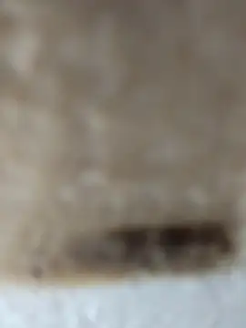 Snapshot of Cr_sonam chatting on November 2025 11:27:02 PM Cr sonam online show from November 2025 11:27:02 PM