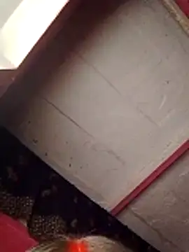 Snapshot of Cr_sonam chatting on November 2025 11:30:01 PM Cr sonam online show from November 2025 11:30:01 PM