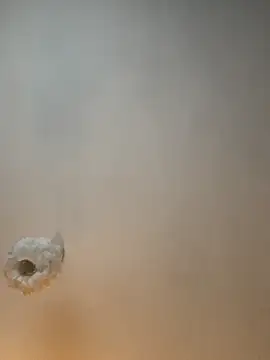 Teengirlmiaa online show from November 2025 01:59:02 PM