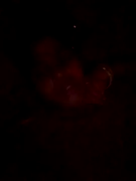 Tg sonam online show from October 2025 04:16:01 PM