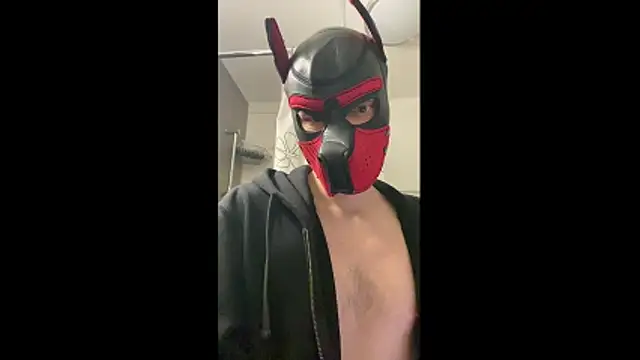 MolleDolle online show from December 2025 02:29:02 PM