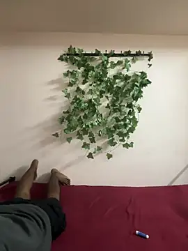 Chennai Fire online show from November 2025 05:50:01 PM