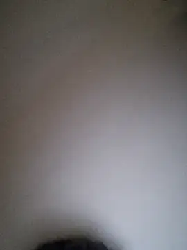 wakilosxh online show from October 2025 02:47:02 PM