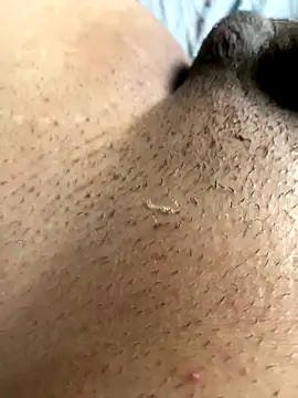 Snapshot of leiteiro2002 chatting on November 2025 08:23:02 PM leiteiro2002 online show from November 2025 08:23:02 PM